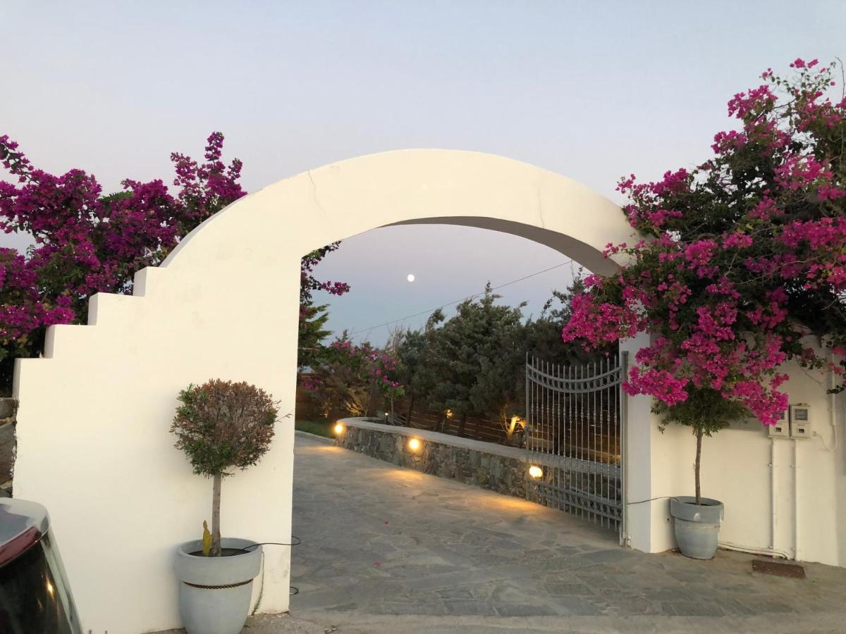 Syros Luxury Living *