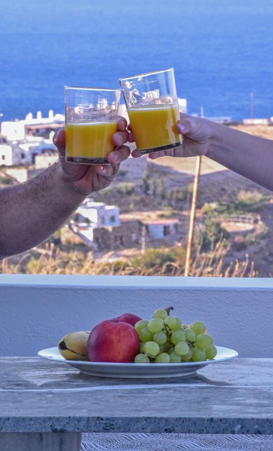 Syros Luxury Living Holiday home Rozia